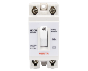 Cầu dao an toàn 2 CỰC BS602P 40A