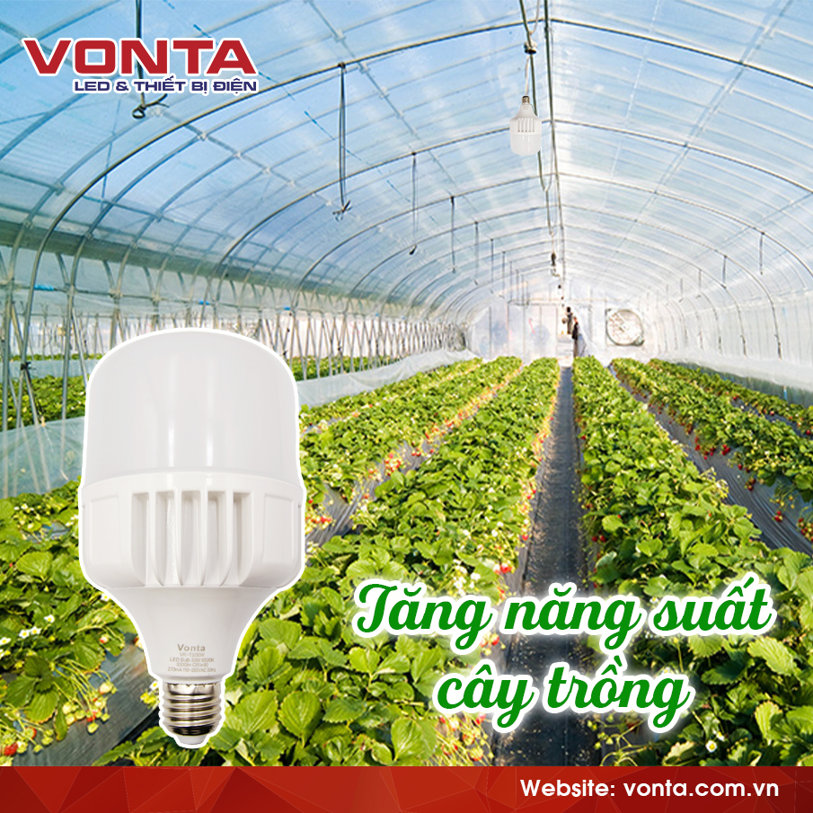 ỨNG DỤNG KHÔNG NGỜ TỚI CỦA ĐÈN LED BULB VONTA 30W TRONG SẢN XUẤT NÔNG NGHIỆP