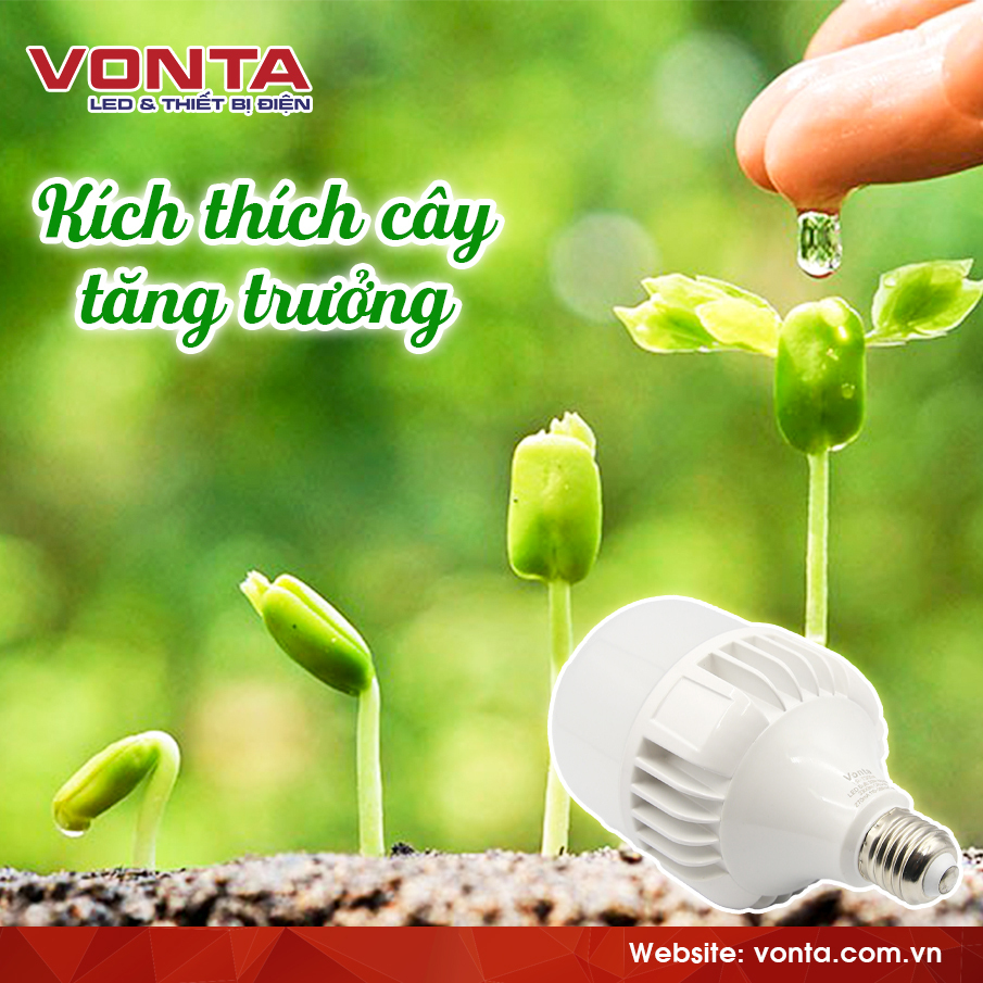 ỨNG DỤNG KHÔNG NGỜ TỚI CỦA ĐÈN LED BULB VONTA 30W TRONG SẢN XUẤT NÔNG NGHIỆP