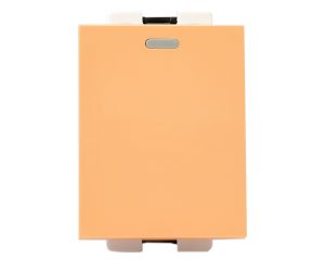 MSP VSCCPSFM HẠT CÔNG TẮC KIỂU VSC 1 CHIỀU SIZE M CÓ DẠ QUANG