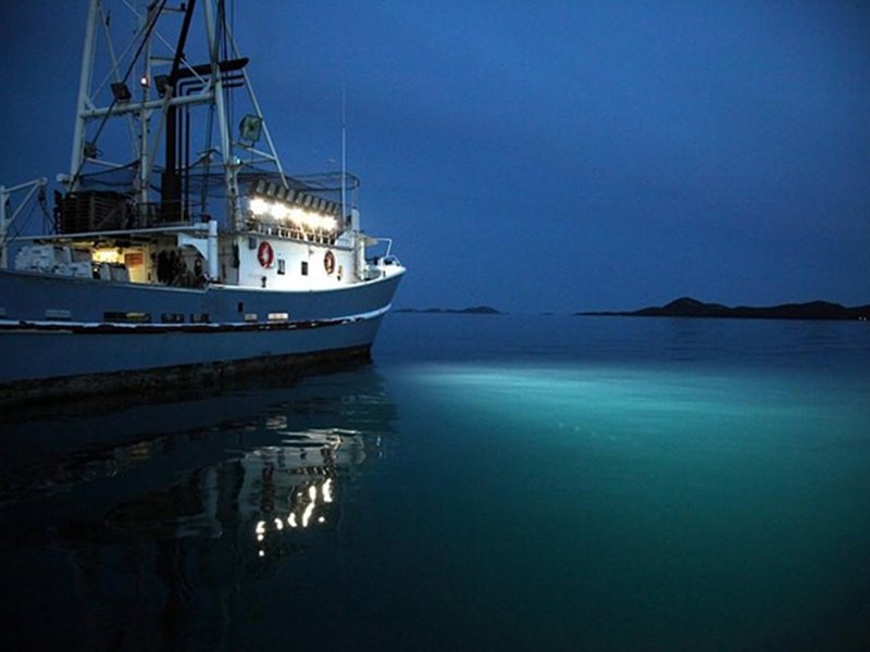 LED BULB trên thuyền LED BULB trên thuyền